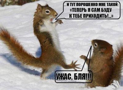 Прикрепленное изображение: 13118894_1018359804916375_3370444480937217669_n.jpg